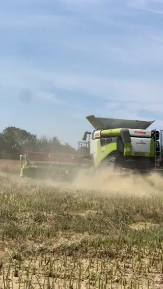 Harvest time and the highlight of the farming calendar! 
@hillfairs_farms 
Thank you to all British farmers, we literally couldn’t live without you 🙏